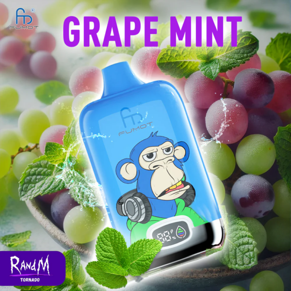 RandM Digital 12000 Portable Disposable Vape: The Captivating Blueberry Bubblegum Flavor – A Totally New Experience - Image 28