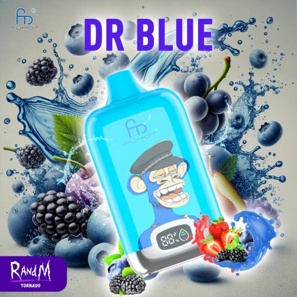 RandM Digital 12000 Portable Disposable Vape: The Captivating Blueberry Bubblegum Flavor – A Totally New Experience - Image 32