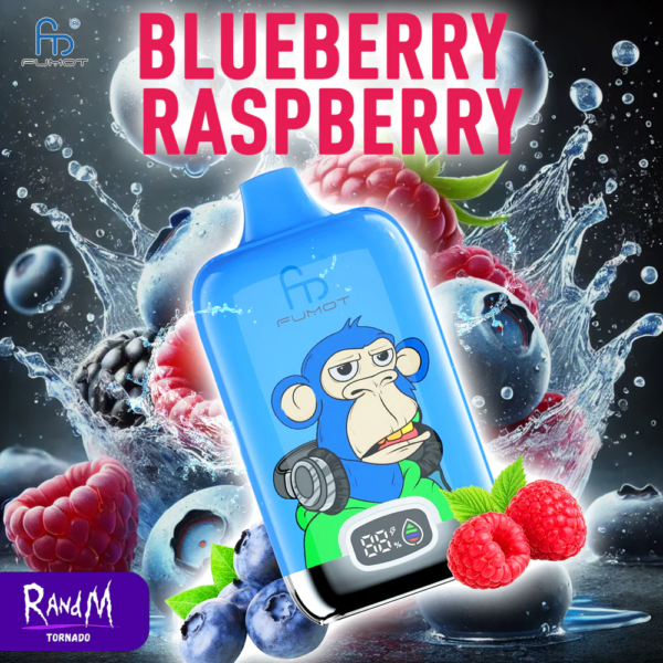 RandM Digital 12000 Portable Disposable Vape: The Captivating Blueberry Bubblegum Flavor – A Totally New Experience - Image 39