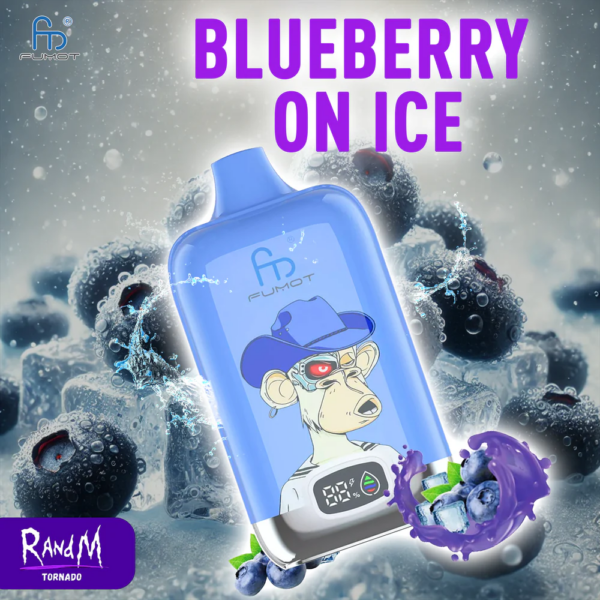 RandM Digital 12000 Portable Disposable Vape: The Captivating Blueberry Bubblegum Flavor – A Totally New Experience - Image 40