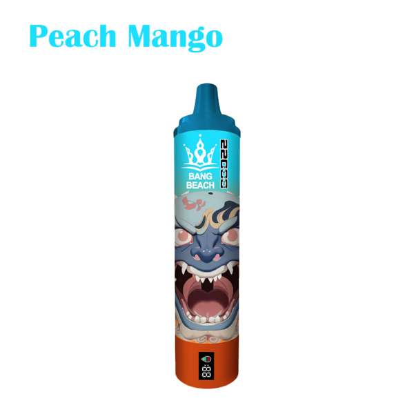 Bang Beach 22000 Puffs Vape: Unleash Endless Flavor and Lasting Performance – Image 7